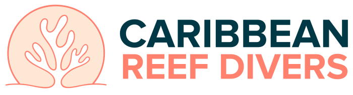 caribbean-reef-divers_retina-sticky